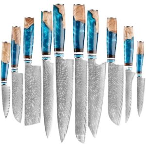 10-Profile Damascus Knife Series with Stabilised Wood Handles